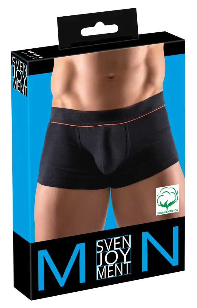 Vīriešu bikses Svenjoyment 21330321701, izmērs S