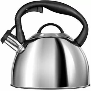 MPM MCN-13/P Kettle with whistle 3L (Grey)