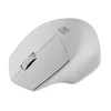 NATEC Siskin 2 Bluetooth optiskā pele 1600 DPI Photo 4