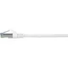 Renkforce RF-5043914 Cat6a S/FTP 1 м кабель Photo 5