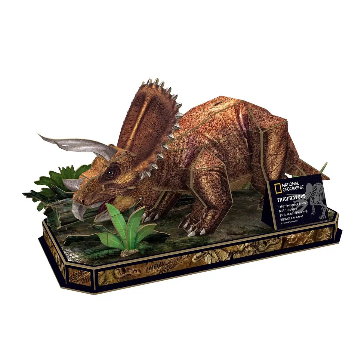 3D Puzle CubicFun NG Triceratops Photo 2