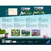 Ravensburger 20155 — раскраска по номерам Photo 2