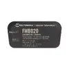 GPS трекер Teltonika FMB020 Photo 9