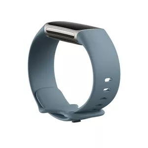 Charge 5,Infinity Band,Steel Blue,Large