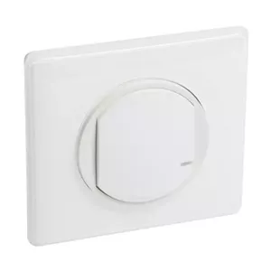 Legrand Celiane with Netatmo Wireless Light and Socket Switch