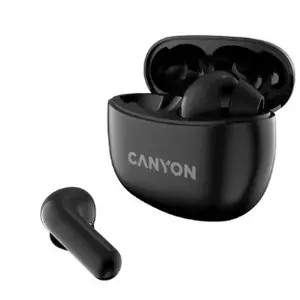 Austiņas Canyon CNS-TWS5B