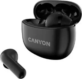 Austiņas Canyon CNS-TWS5B