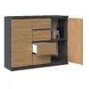 Комод top e shop 2D4S ANT/ART KPL Photo 2