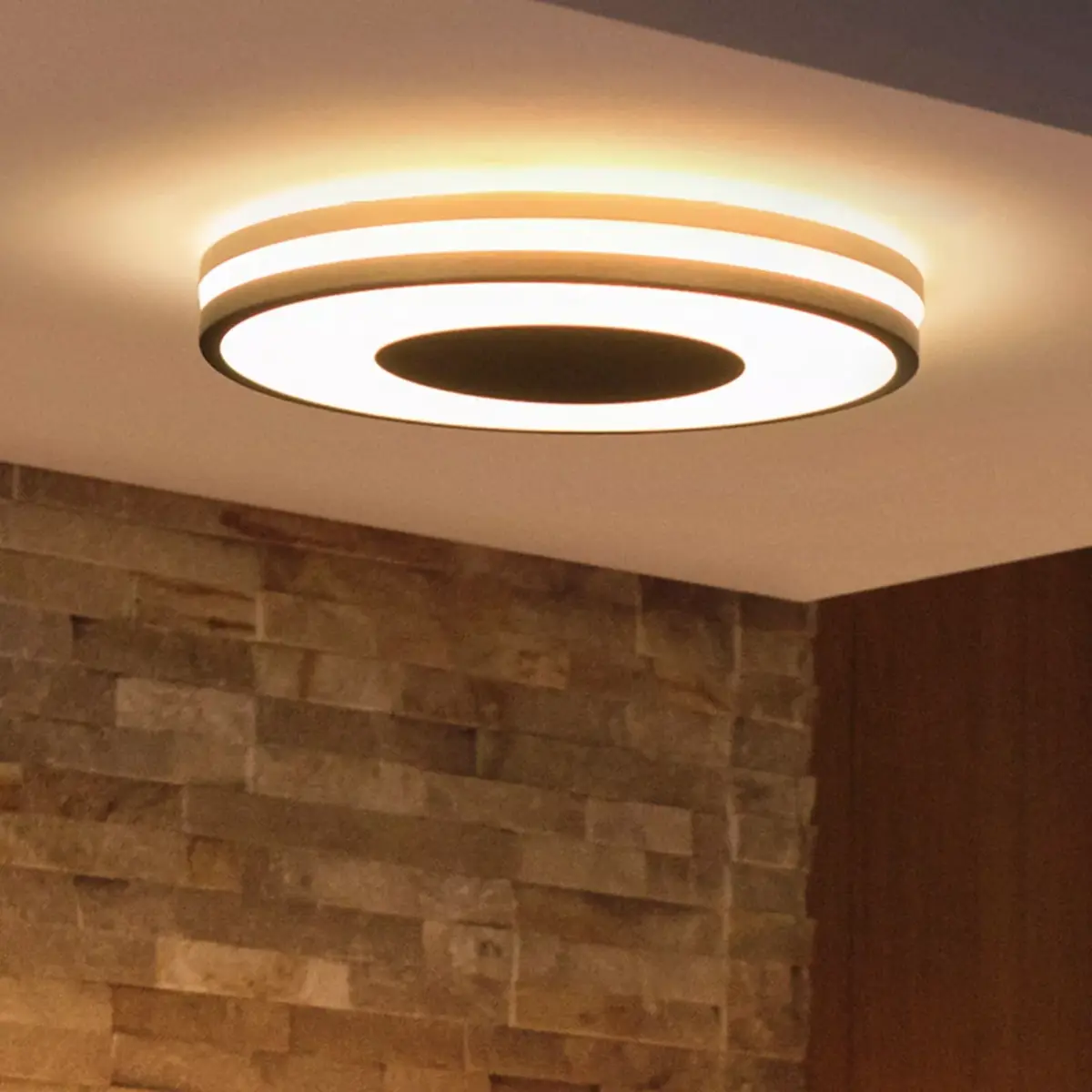 Потолочный светильник Philips Hue White ambience Being Photo 2