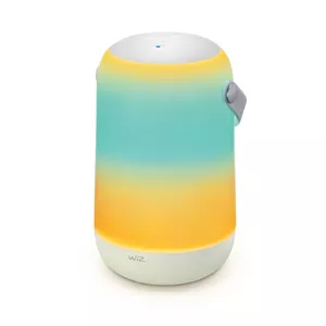 WiZ Smart Lighting 8719514554412 LED Bulb 13.5 W White