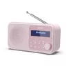 Portable Radio Sharp DR-P420 Photo 2