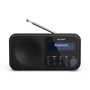 Portable Radio Sharp DR-P420 Digital Tuner DAB DAB+ FM