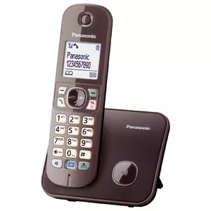 DECT телефон Panasonic KX-TG6811GA
