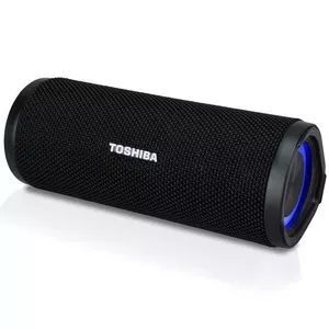 Toshiba TY-WSP102 portatīvais skaļrunis Stereo portatīvais skaļrunis Melns 10 W