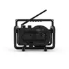 Портативное радио Perfectpro Dabbox Photo 2