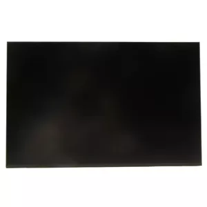Display Lenovo 5D10V82408 16" WUXGA for ThinkPad T16 P16s P16v