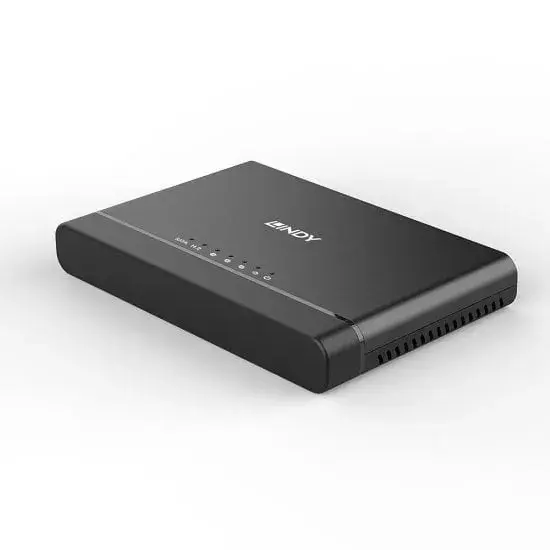 Clone Station Lindy USB 3.2 Type C M.2 NVMe SATA SSD Photo 2