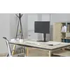Brīvi stāvoša monitora statīvs Equip 17"-32" Photo 8