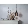 LED spuldze Star Trading 355-12 Photo 4