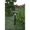 LED garden light Star Trading Mervia 34 cm Photo 3