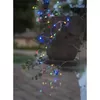 Star Trading Dew Drop LED virtene 5 m 50 LED Photo 2