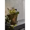 Star Trading Dew Drop LED gaismas virtene 5 m Photo 3