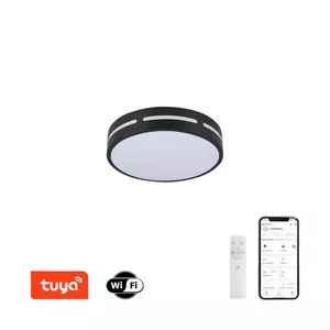 LED RGB Потолочный круглый светильник 30cm 24w  