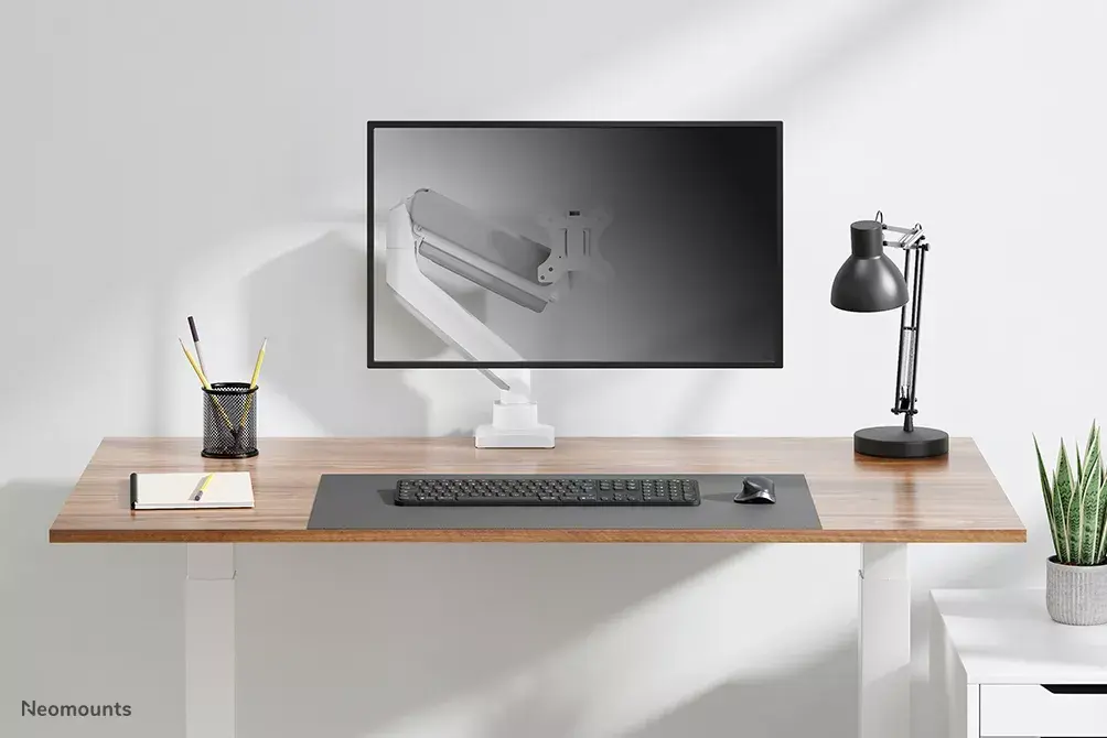 Galda monitora statīvs DS70-450WH1 Photo 15