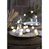 LED string lights OEM 1947-1 — warm white 3 m Photo 3