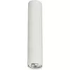 Потолочная лампа NOWODVORSKI Eye M 1x35W Photo 2