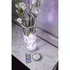 Electric Candle Star Trading 063-02 Photo 2