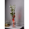 Electric Candle Star Trading 063-02 Photo 3