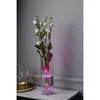 Electric Candle Star Trading 063-02 Photo 6