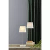 LED decoration Star Trading LEO 2in1 65×43 cm Photo 2