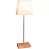 LED decoration Star Trading LEO 2in1 65×43 cm Photo 6