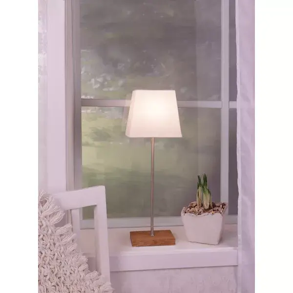 LED decoration Star Trading LEO 2in1 65×43 cm Photo 7
