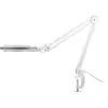 Magnifier Lamp Goobay 60361 Photo 3