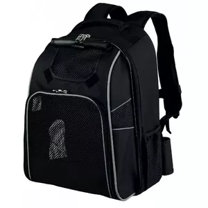 Soft backpack pet carrier Trixie TRIXIE 28945 — for small dogs, 330×230×430 mm