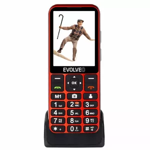 Мобильный телефон EVOLVEO EasyPhone LT, 2.4"