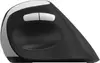 Mouse Rapoo EV250 Photo 4