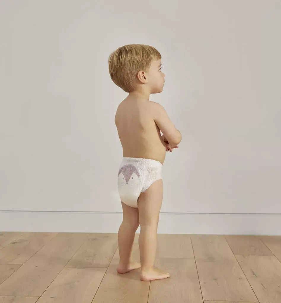 Kit & Kin KKS4PANTSHL disposable diaper KKS4PANTSHL Photo 5
