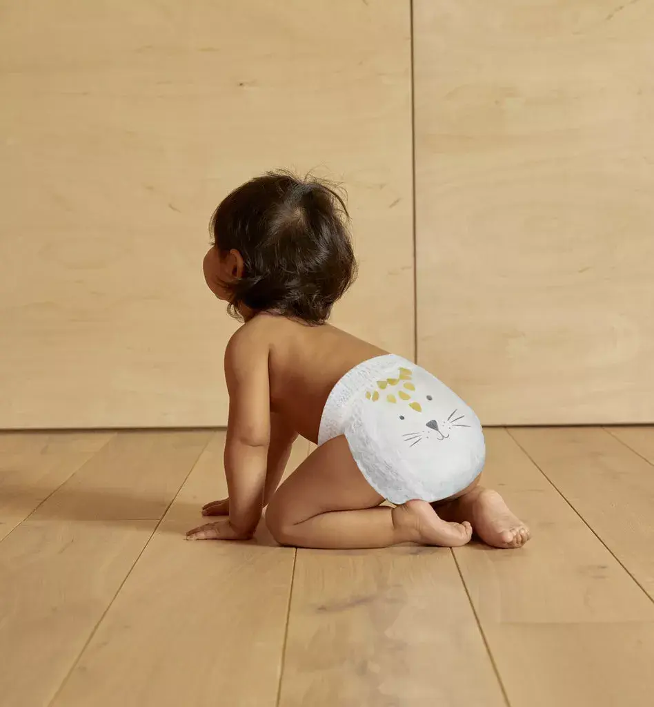 Kit & Kin KKS4PANTSHL disposable diaper KKS4PANTSHL Photo 6