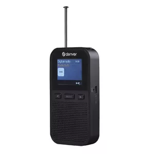 Personal Radio Denver DAH-126 Analog Digital DAB FM 10W