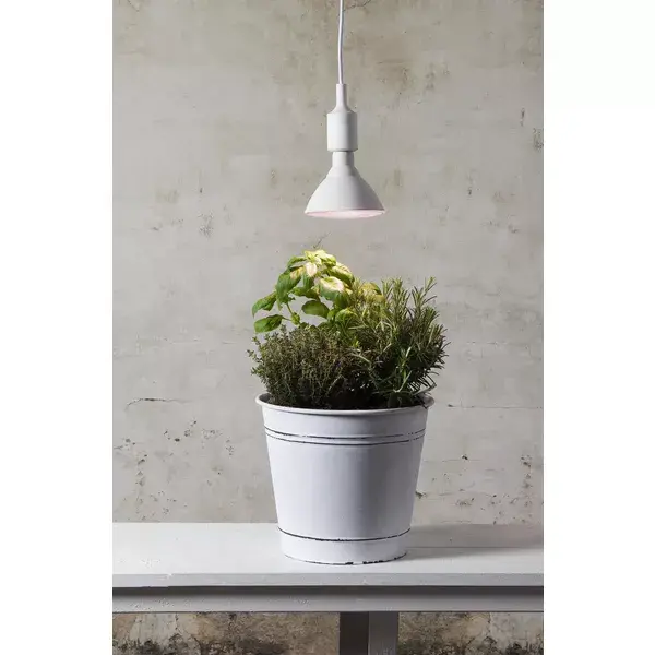 LED-лампа Star Trading 357-36 — 16 Вт E27 Photo 4