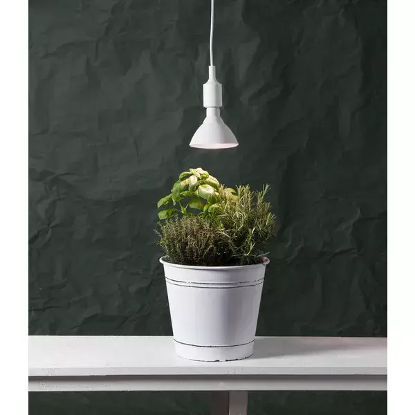 LED-лампа Star Trading 357-36 — 16 Вт E27 Photo 6