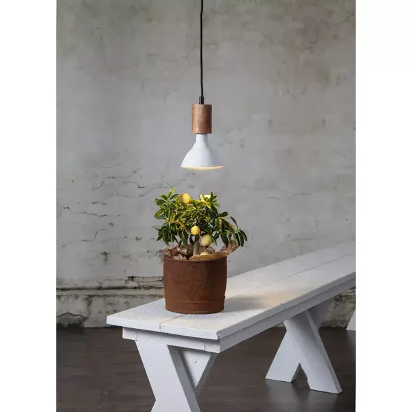 Enerģijas taupīšanas lampa Star Trading 357-35 Photo 2