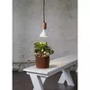 Enerģijas taupīšanas lampa Star Trading 357-35 Photo 2