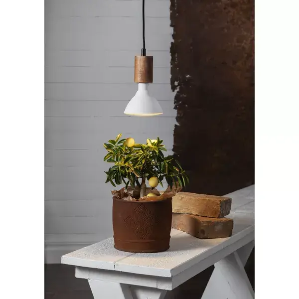 Enerģijas taupīšanas lampa Star Trading 357-35 Photo 3