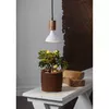 Enerģijas taupīšanas lampa Star Trading 357-35 Photo 3