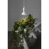 Enerģijas taupīšanas lampa Star Trading 357-35 Photo 4